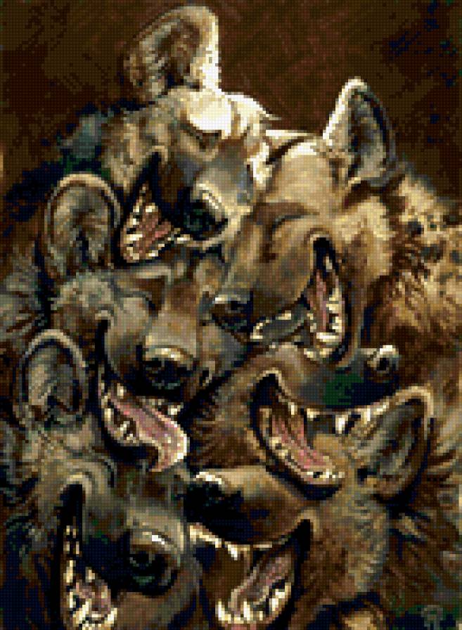 гиены - гиены, любовь, много, звери - предпросмотр