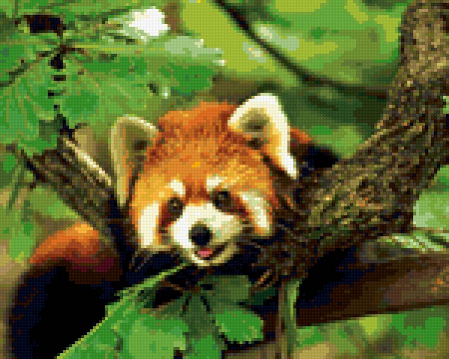 красная панда - животные - предпросмотр