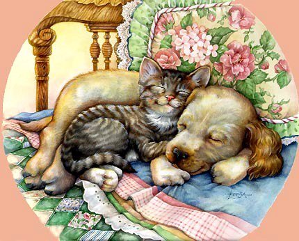 Два друга - котенок, сладкие сны, животные, собака, цветы, щенок, кошка - оригинал