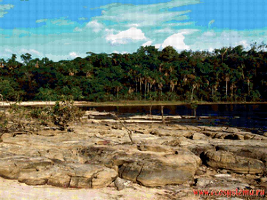 a4 - предпросмотр