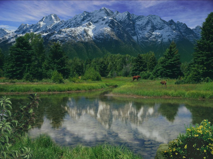 a10 - оригинал