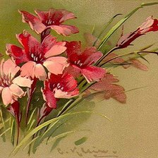 Схема вышивки «гвоздики»