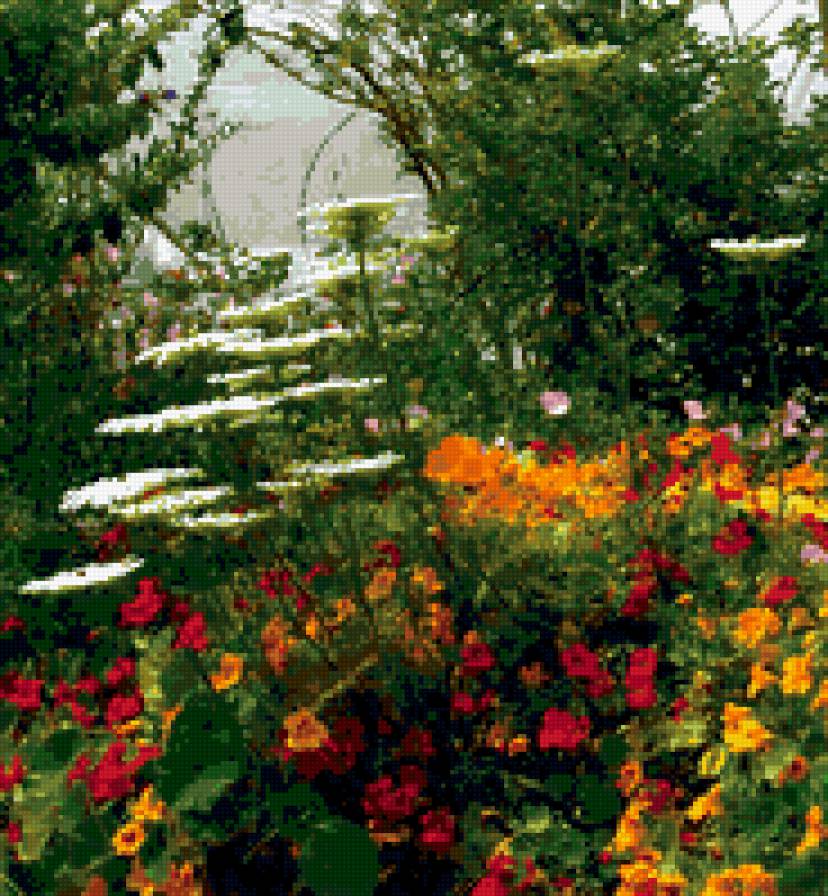 лето - природа - предпросмотр