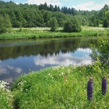 Схема вышивки «лето»