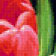 Предпросмотр схемы вышивки «тюльпаны» (№403054)