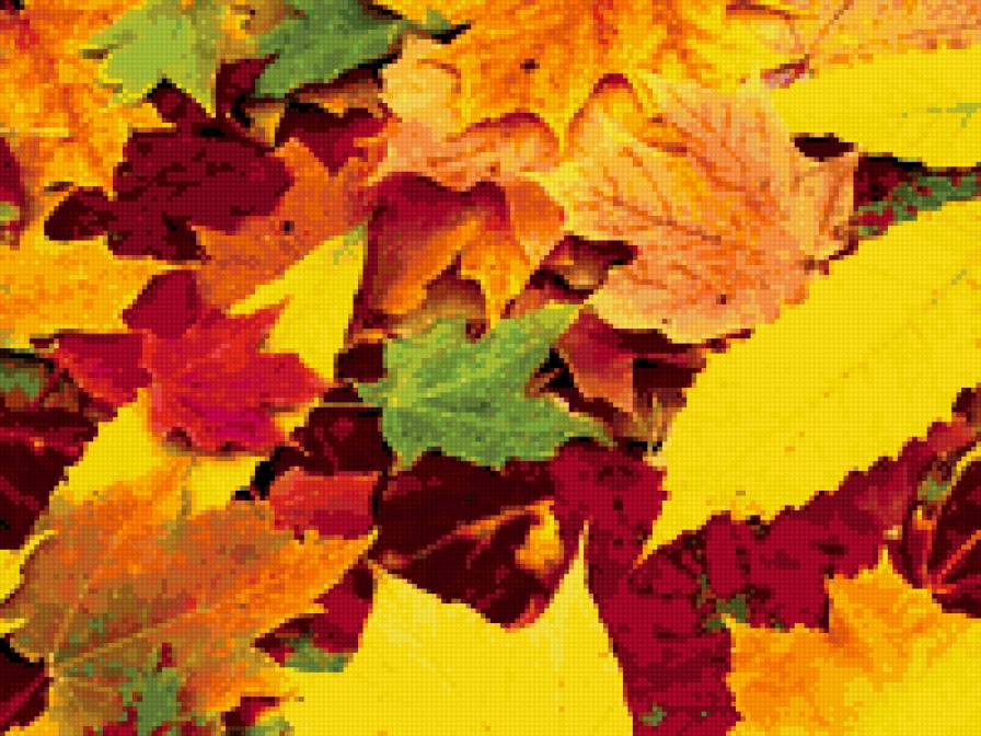 золотая осень - осень, листья - предпросмотр