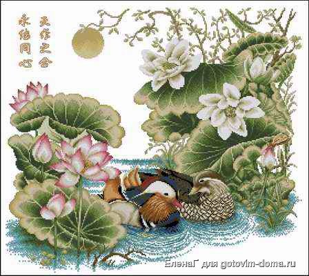 мандаринки - мандаринки - оригинал