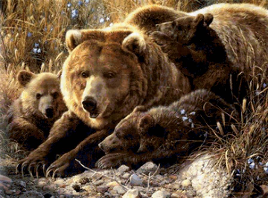 Медведица с медвежатами - животные, природа, медведь - предпросмотр