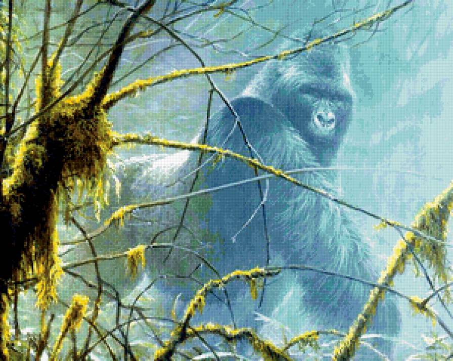 Кинг-Конг - кинг-конг, природа, горилла, джунгли, животные - предпросмотр