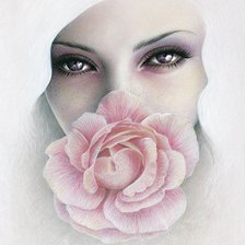 Схема вышивки «снежная роза»