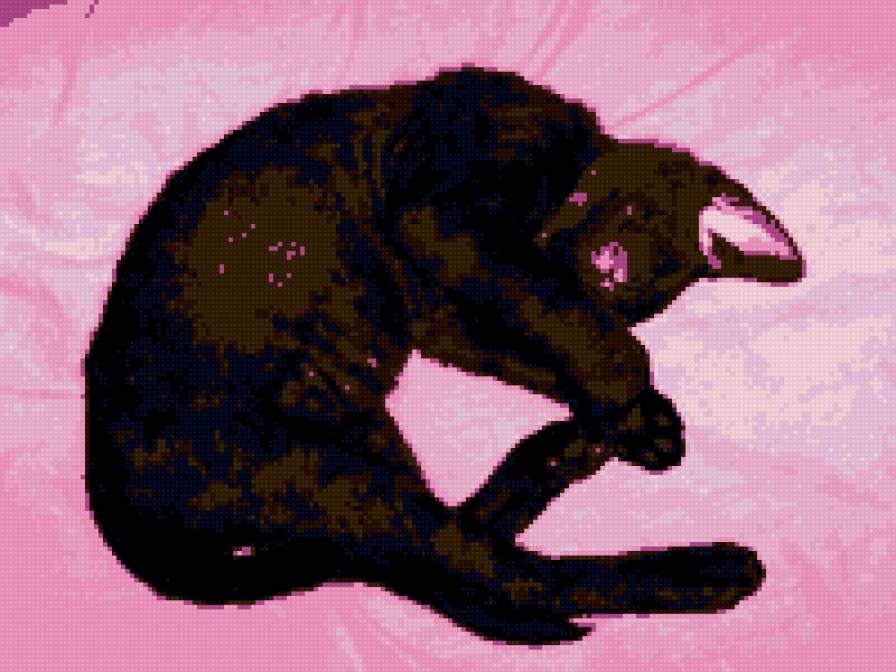 маркус - предпросмотр