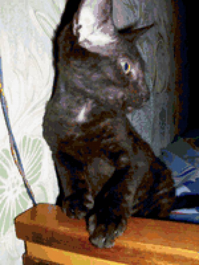 Маркус - предпросмотр