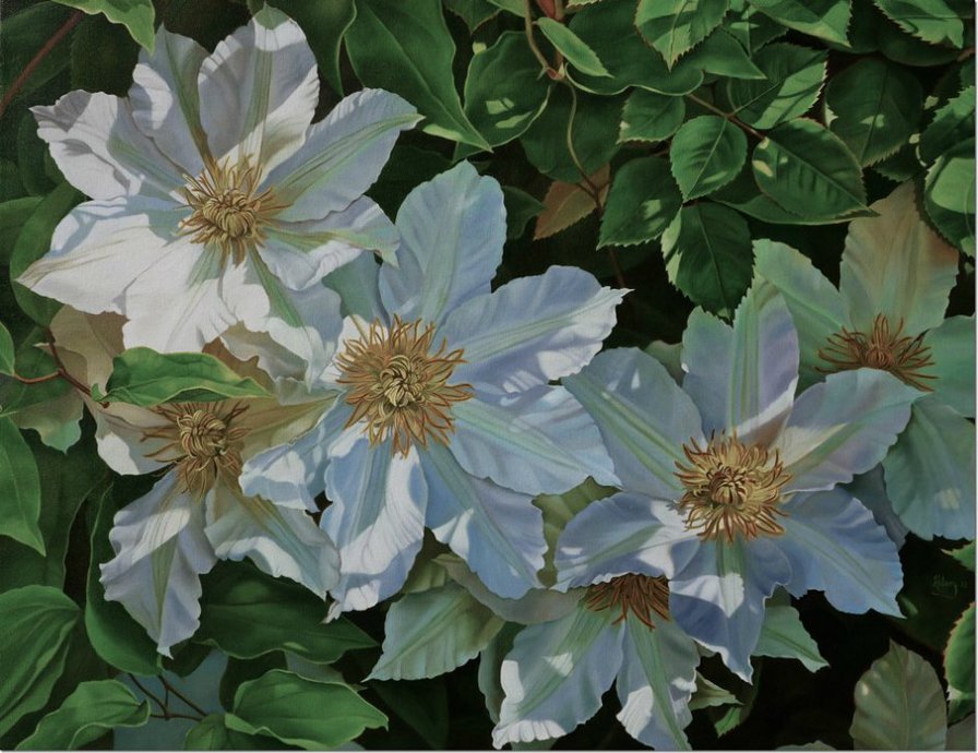 цветы - оригинал