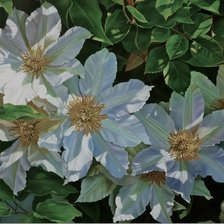 Схема вышивки «цветы»