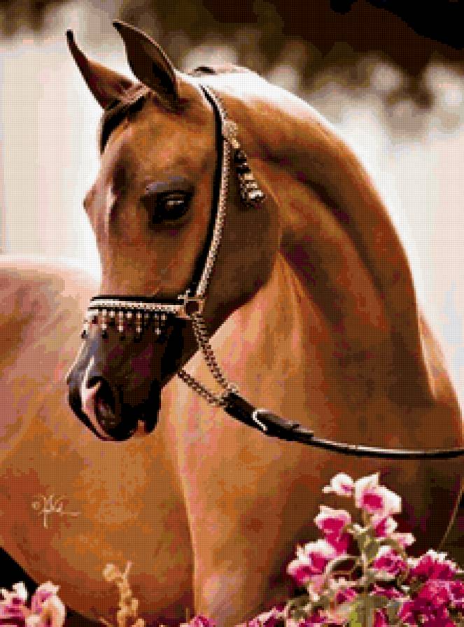 №404042 - предпросмотр