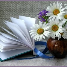 Схема вышивки «ромашки и книга»