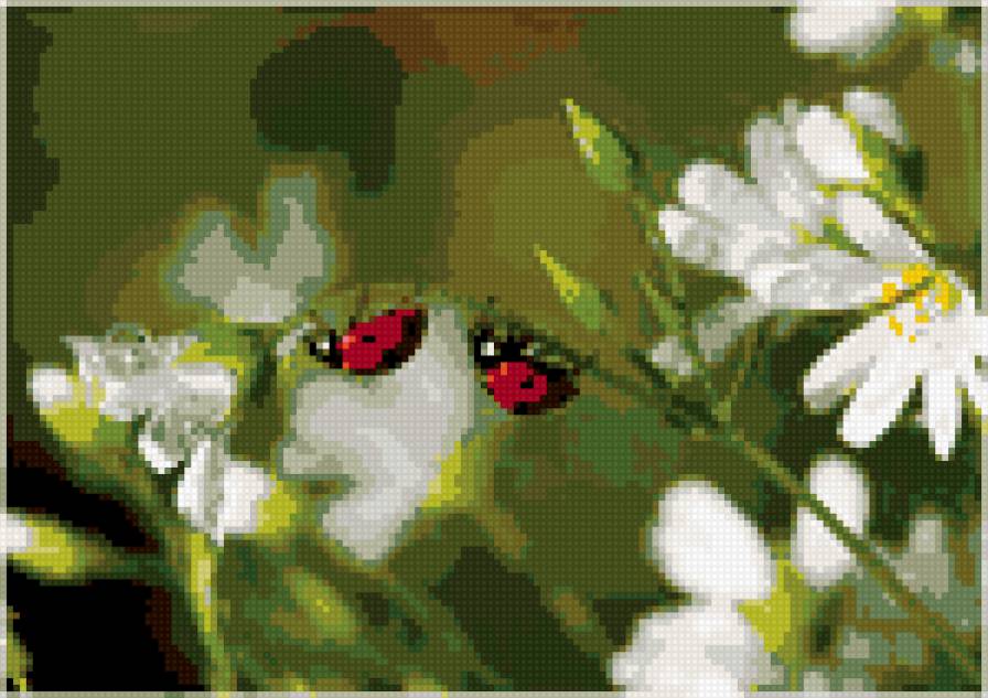 №404227 - предпросмотр