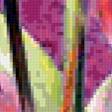 Предпросмотр схемы вышивки «тюльпаны» (№404296)