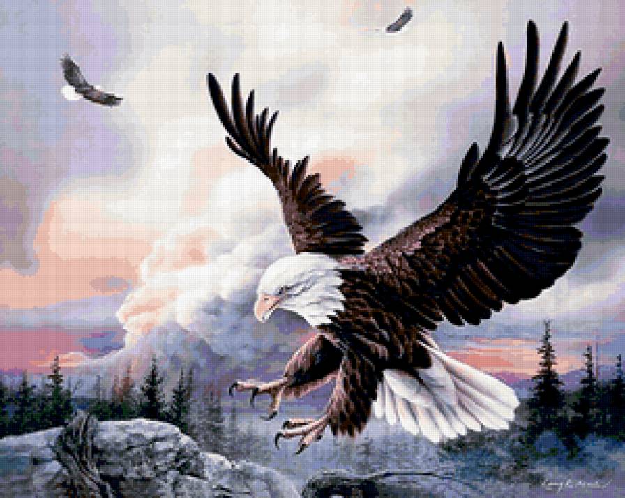 Орел - орел, птицы - предпросмотр