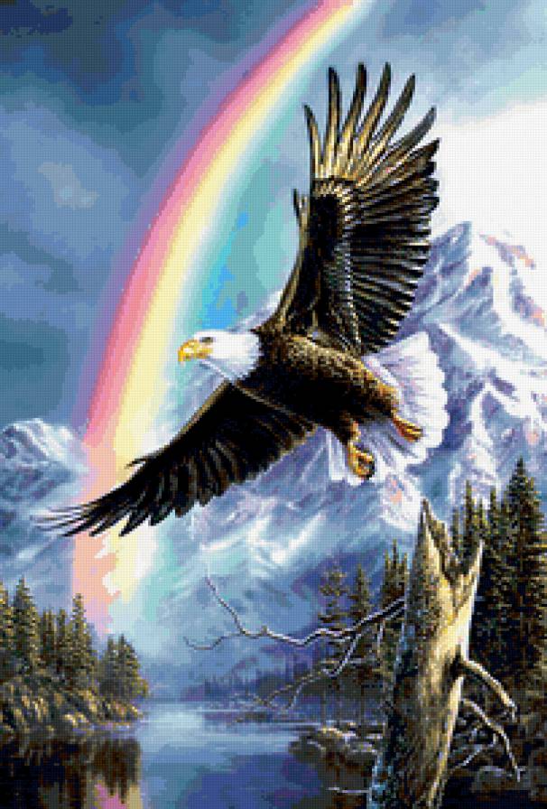 Орел - птицы, орел - предпросмотр