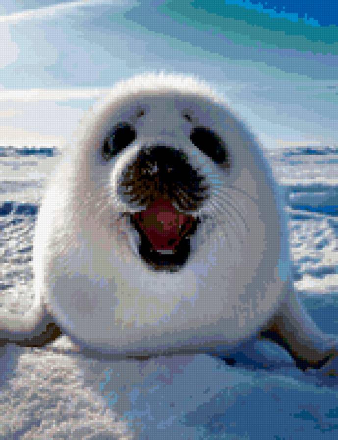 Милый детеныш тюленя 2 - предпросмотр