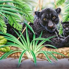 Схема вышивки «дикая природа»