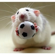 Схема вышивки «Любимец»