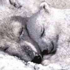 Схема вышивки «Сладкий сон»