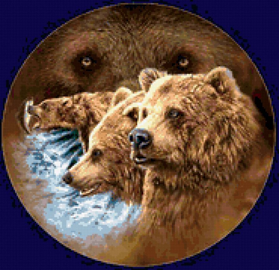 Медвежий взгляд №2 - животные - предпросмотр
