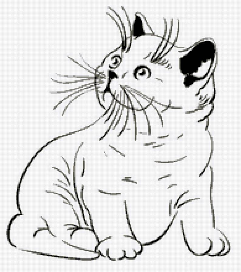 Котёнок - кот, монохром, кошка, животные - предпросмотр