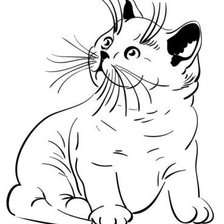 Оригинал схемы вышивки «Котёнок» (№405271)