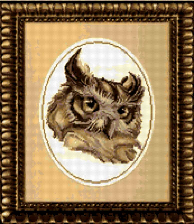 сова - птицы, сова - предпросмотр