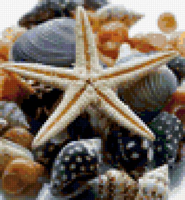 Море - море, лето, пляж, ракушки - предпросмотр