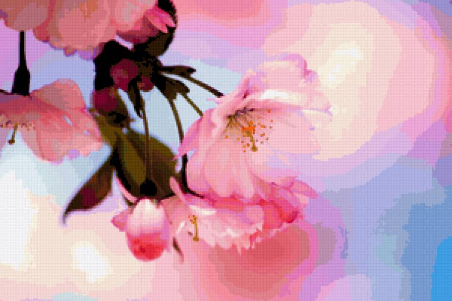 цветок сакуры - сакура, цветок - предпросмотр