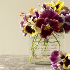 Схема вышивки «анюткины глазоньки»