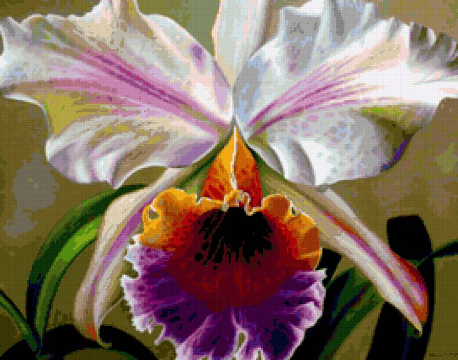 орхидея - цветы.орхидеи - предпросмотр