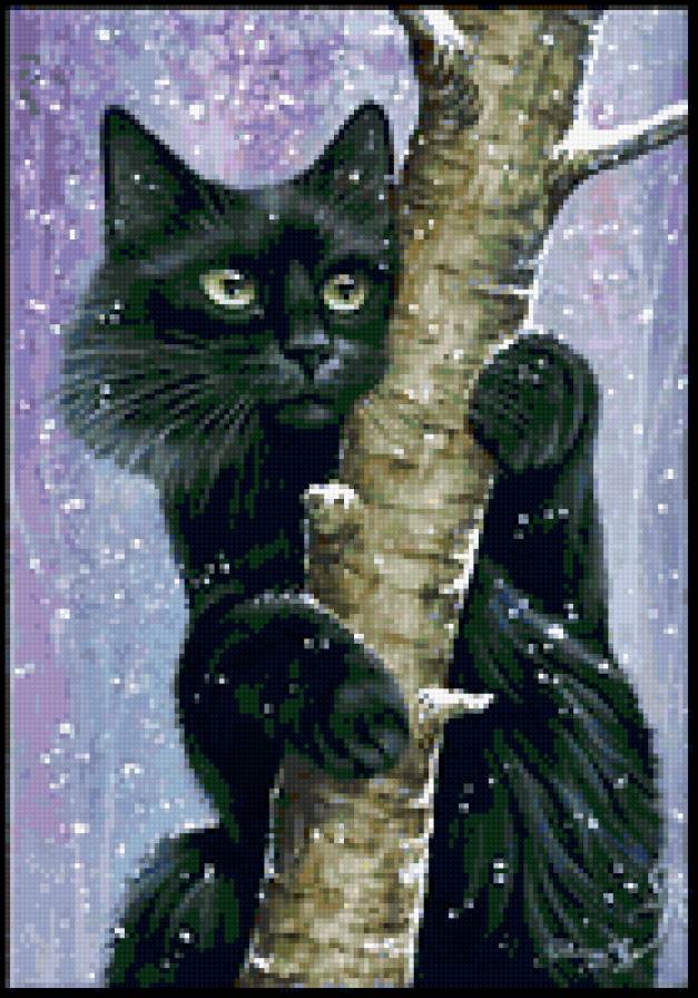 котенок - котенок - предпросмотр