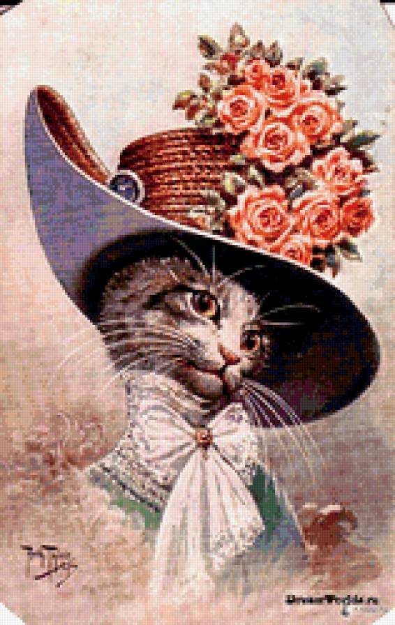 Кошка в шляпе - кошка шляпа портрет - предпросмотр