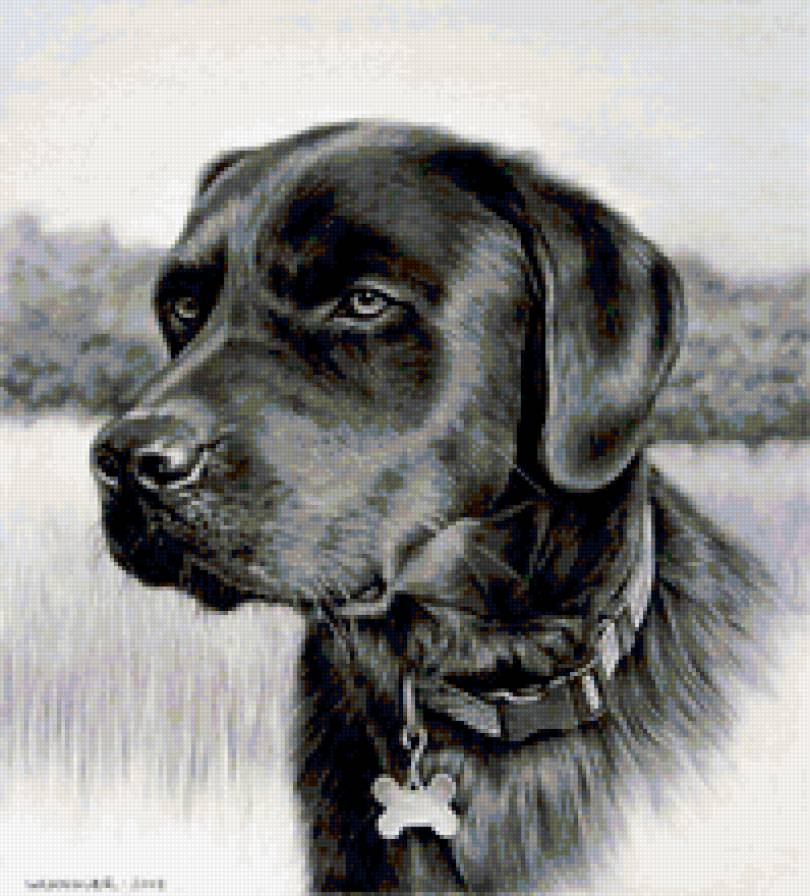 преданный пес - пес, животное, собака - предпросмотр