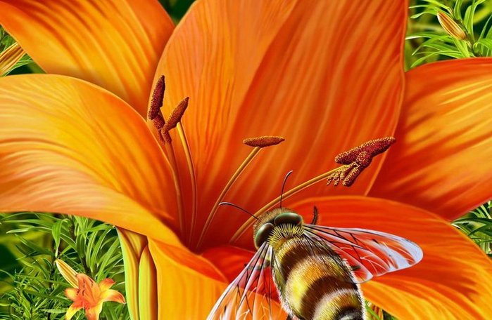 очаровательная лилия - цветы, пчела, лилия - оригинал