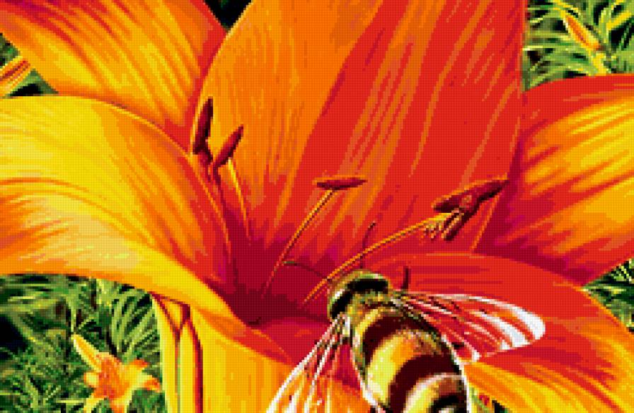 очаровательная лилия - пчела, лилия, цветы - предпросмотр