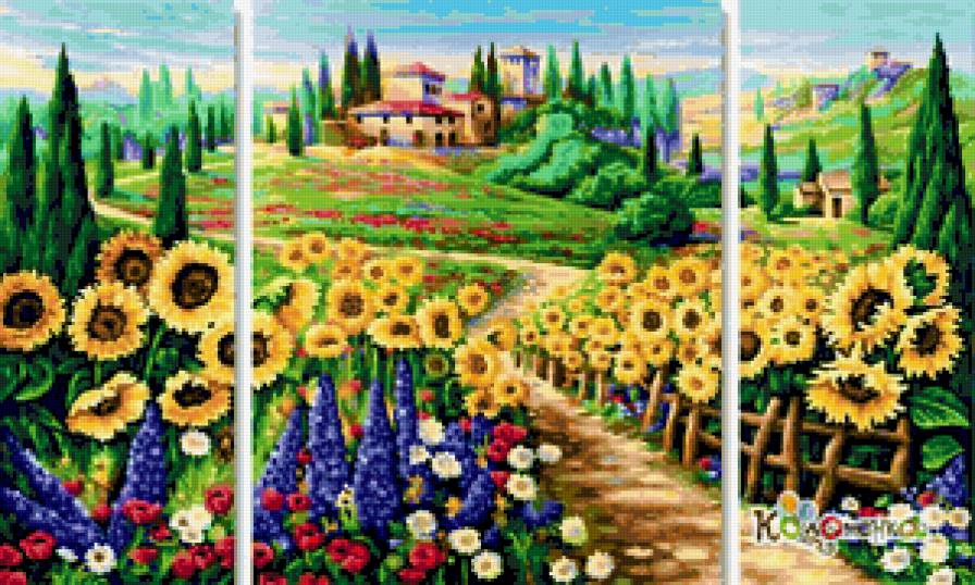 поле подсолнухов - подсолнухи - предпросмотр