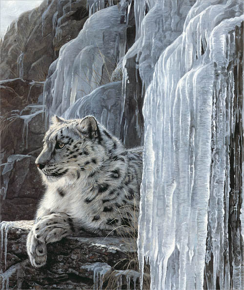 Снежный барс - дикие кошки - оригинал