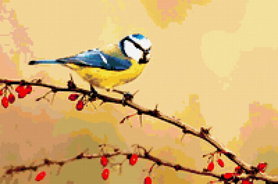 Синичка - птицы - предпросмотр