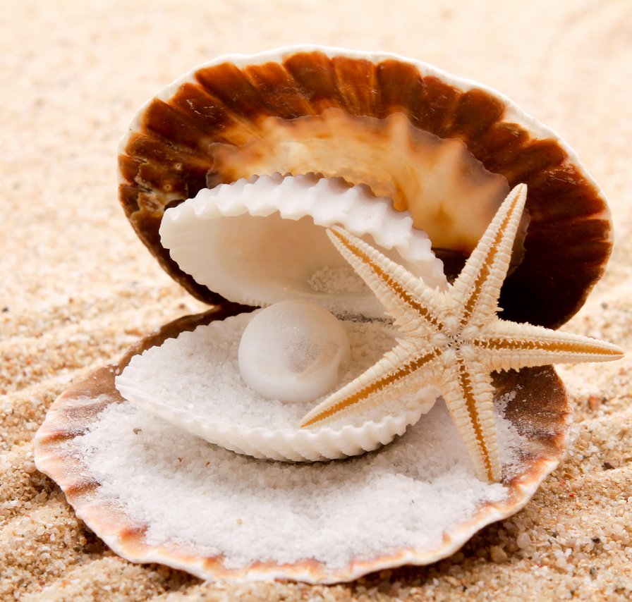Ркушка на песке - мушля, ракушка, жемчуг - оригинал