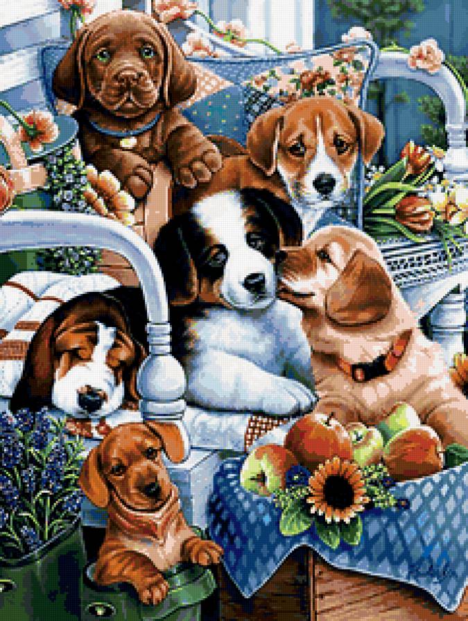 животные - щенки, животные - предпросмотр