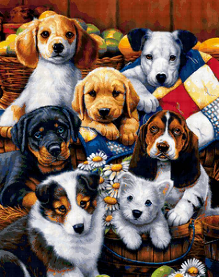 животные - щенки, животные - предпросмотр