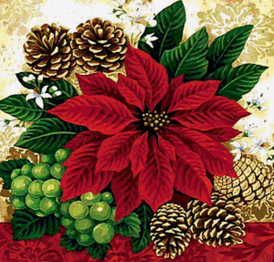 Пуансеттия - виноград, пуансеттия, цветок, шишки, подушка - предпросмотр