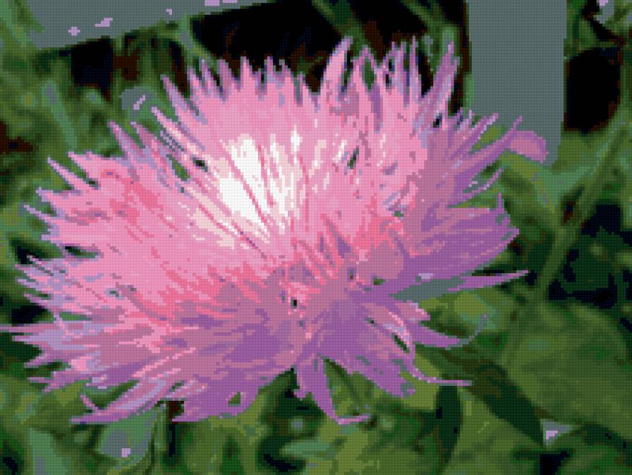 цветочек - цветы - предпросмотр