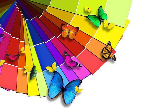 Бабочки - оригинал